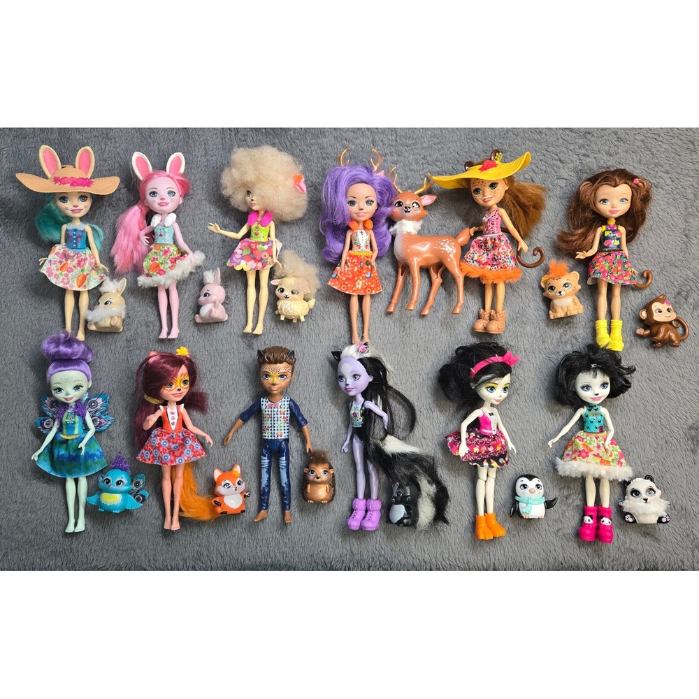 Mattel Enchantimals Doll Lot of 12 with Matching Animal Pets Figures Mixed Set